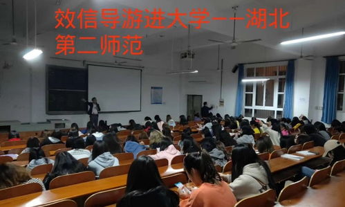 武漢效信教育咨詢
