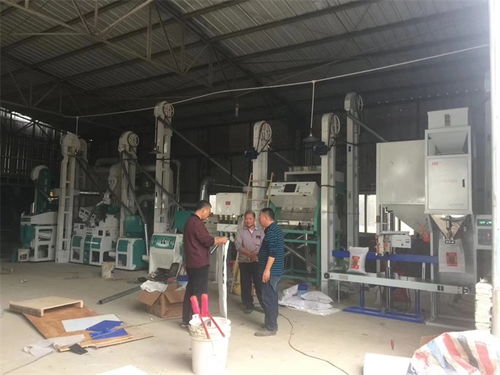 全自動(dòng)小米加工設(shè)備工廠推薦廠家 在線咨詢