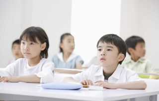 丹青教育加盟 加盟費 招商代理條件 電話 中國教育招商網